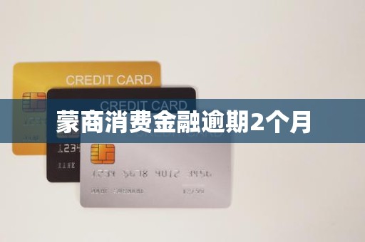 蒙商消费金融逾期2个月