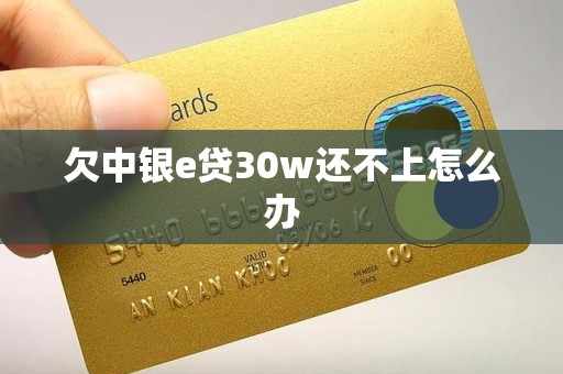 欠中银e贷30w还不上怎么办