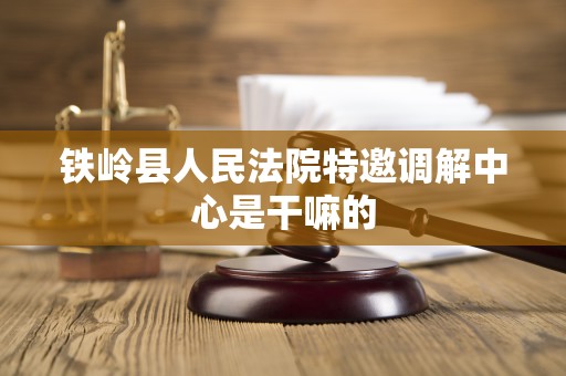 铁岭县人民法院特邀调解中心是干嘛的
