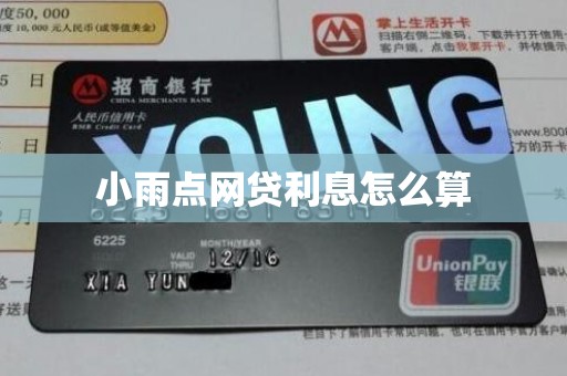 小雨点网贷利息怎么算