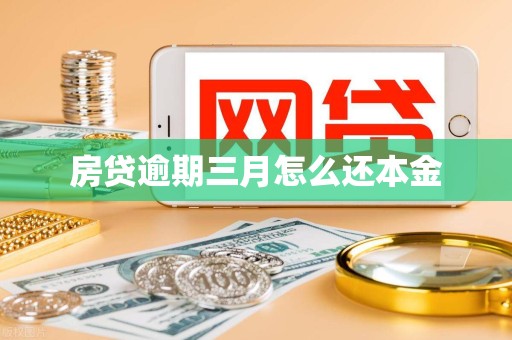 房贷逾期三月怎么还本金