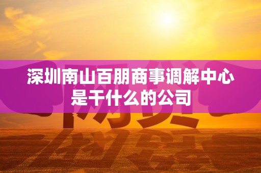 深圳南山百朋商事调解中心是干什么的公司