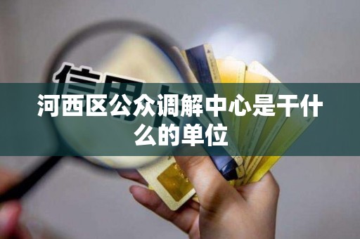 河西区公众调解中心是干什么的单位