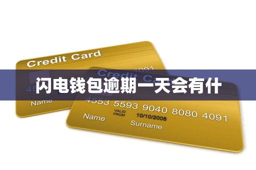 闪电钱包逾期一天会有什