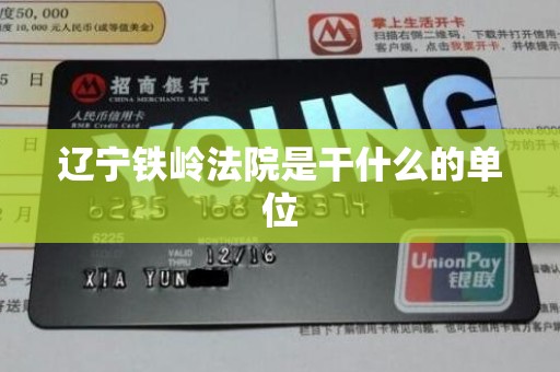 辽宁铁岭法院是干什么的单位