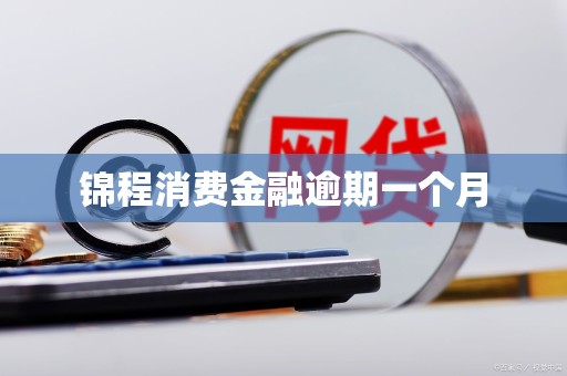 锦程消费金融逾期一个月