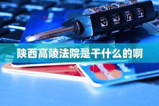 陕西高陵法院是干什么的啊