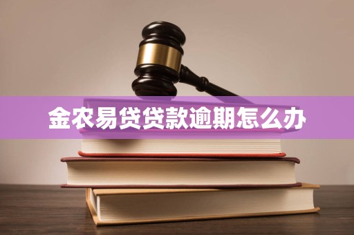 金农易贷贷款逾期怎么办