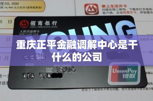重庆正平金融调解中心是干什么的公司