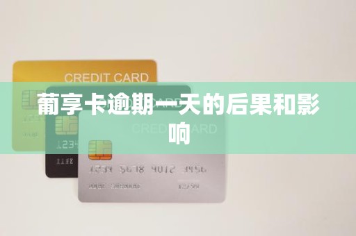 葡享卡逾期一天的后果和影响