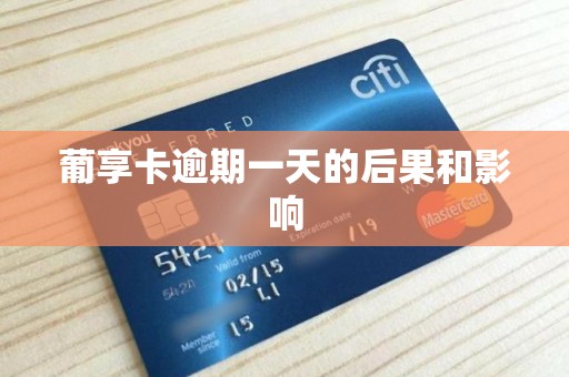 葡享卡逾期一天的后果和影响