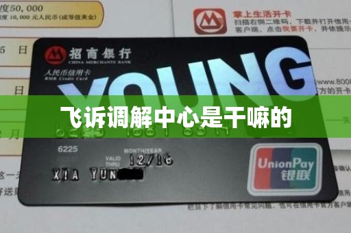 飞诉调解中心是干嘛的
