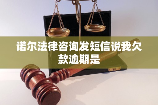 诺尔法律咨询发短信说我欠款逾期是