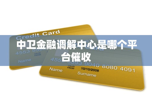 中卫金融调解中心是哪个平台催收