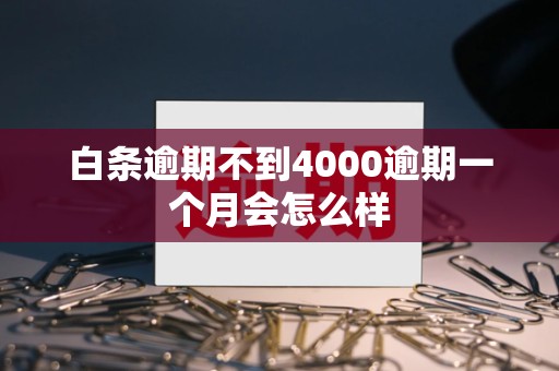 白条逾期不到4000逾期一个月会怎么样