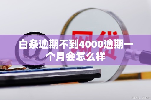 白条逾期不到4000逾期一个月会怎么样