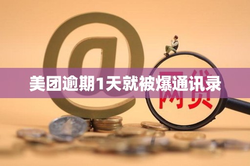 美团逾期1天就被爆通讯录