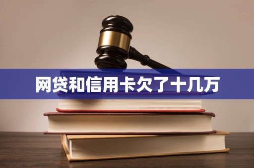 网贷和信用卡欠了十几万
