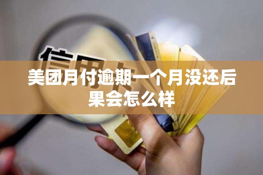 美团月付逾期一个月没还后果会怎么样