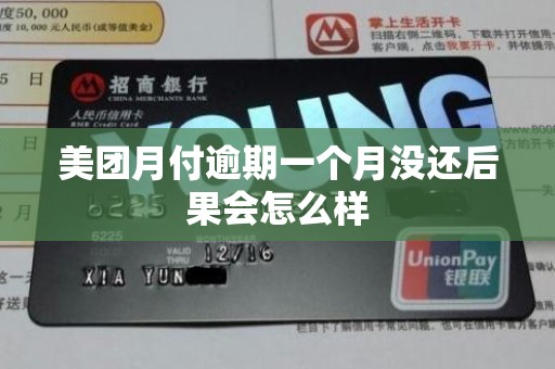 美团月付逾期一个月没还后果会怎么样