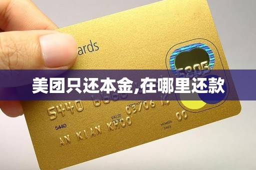 美团只还本金,在哪里还款