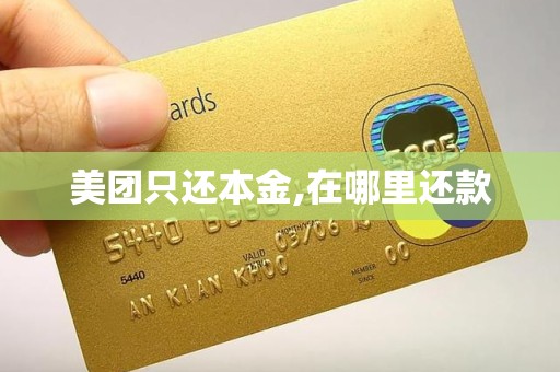 美团只还本金,在哪里还款