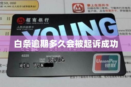 白条逾期多久会被起诉成功