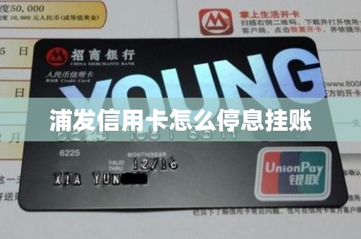浦发信用卡怎么停息挂账