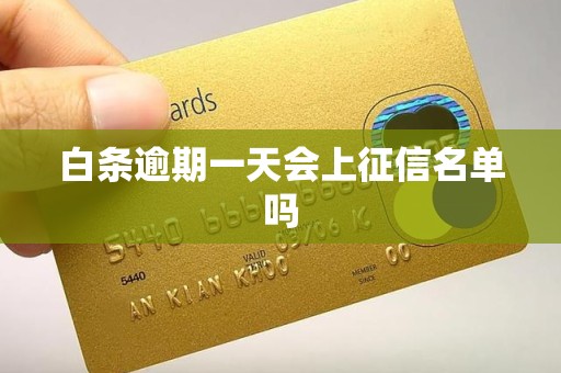 白条逾期一天会上征信名单吗