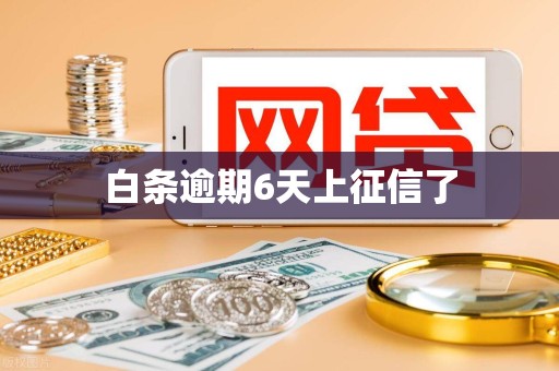白条逾期6天上征信了