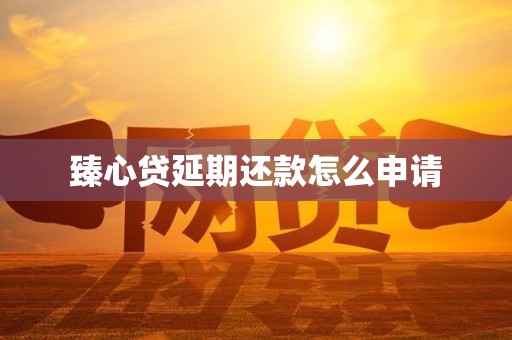 臻心贷延期还款怎么申请