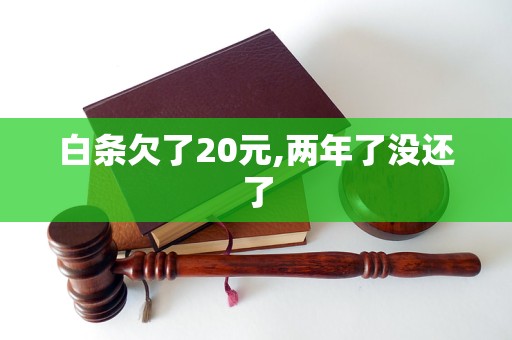 白条欠了20元,两年了没还了