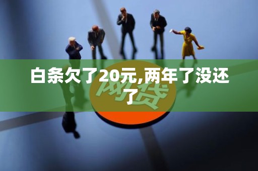 白条欠了20元,两年了没还了