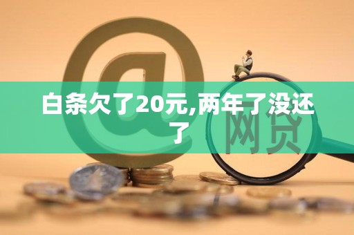 白条欠了20元,两年了没还了