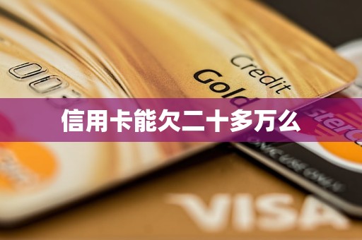 信用卡能欠二十多万么