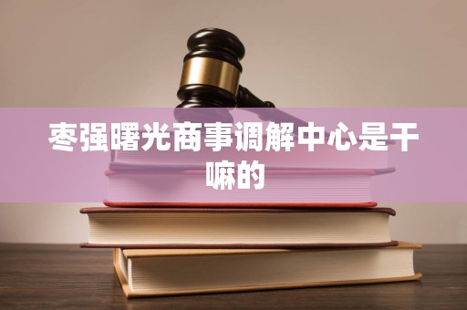 枣强曙光商事调解中心是干嘛的