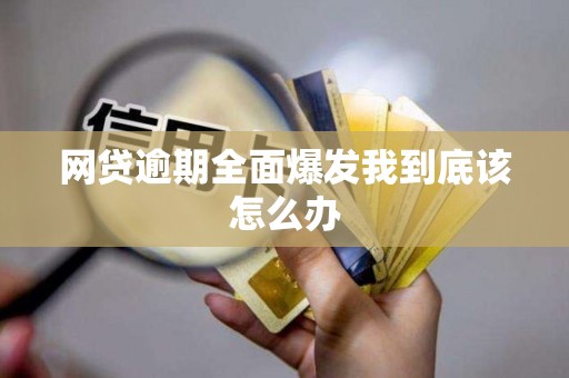 网贷逾期全面爆发我到底该怎么办