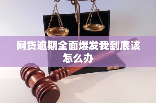 网贷逾期全面爆发我到底该怎么办