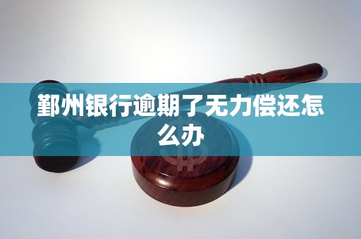 鄞州银行逾期了无力偿还怎么办