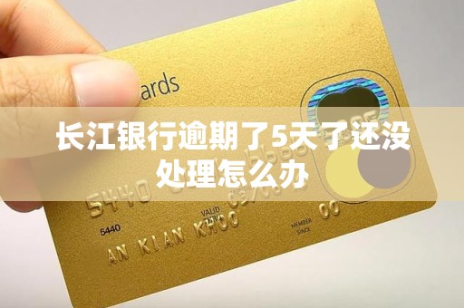 长江银行逾期了5天了还没处理怎么办