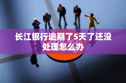 长江银行逾期了5天了还没处理怎么办