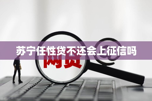 苏宁任性贷不还会上征信吗