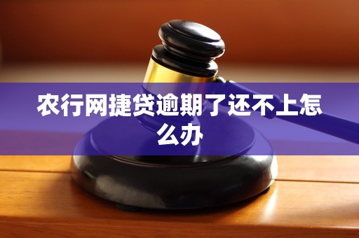 农行网捷贷逾期了还不上怎么办