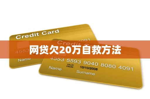 网贷欠20万自救方法