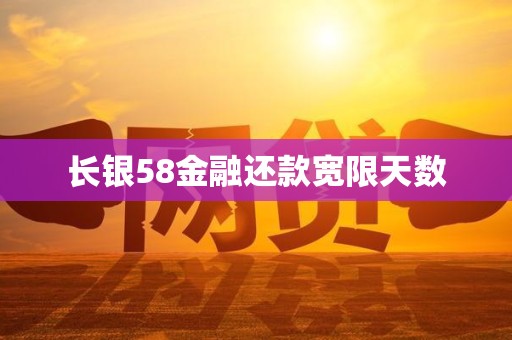 长银58金融还款宽限天数
