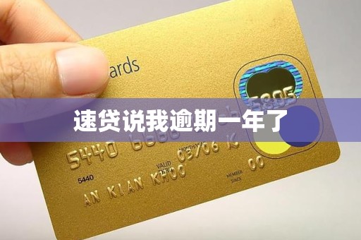 速贷说我逾期一年了