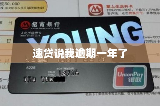 速贷说我逾期一年了
