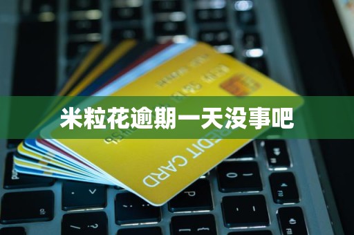 米粒花逾期一天没事吧