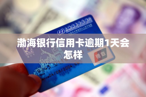 渤海银行信用卡逾期1天会怎样