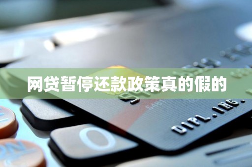 网贷暂停还款政策真的假的